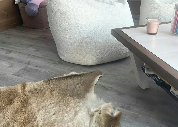 Mountain With Panoramic Views In Savalen * Tynset