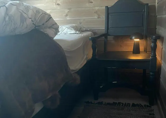 Mountain With Panoramic Views In Savalen Vakantiehuis Tynset